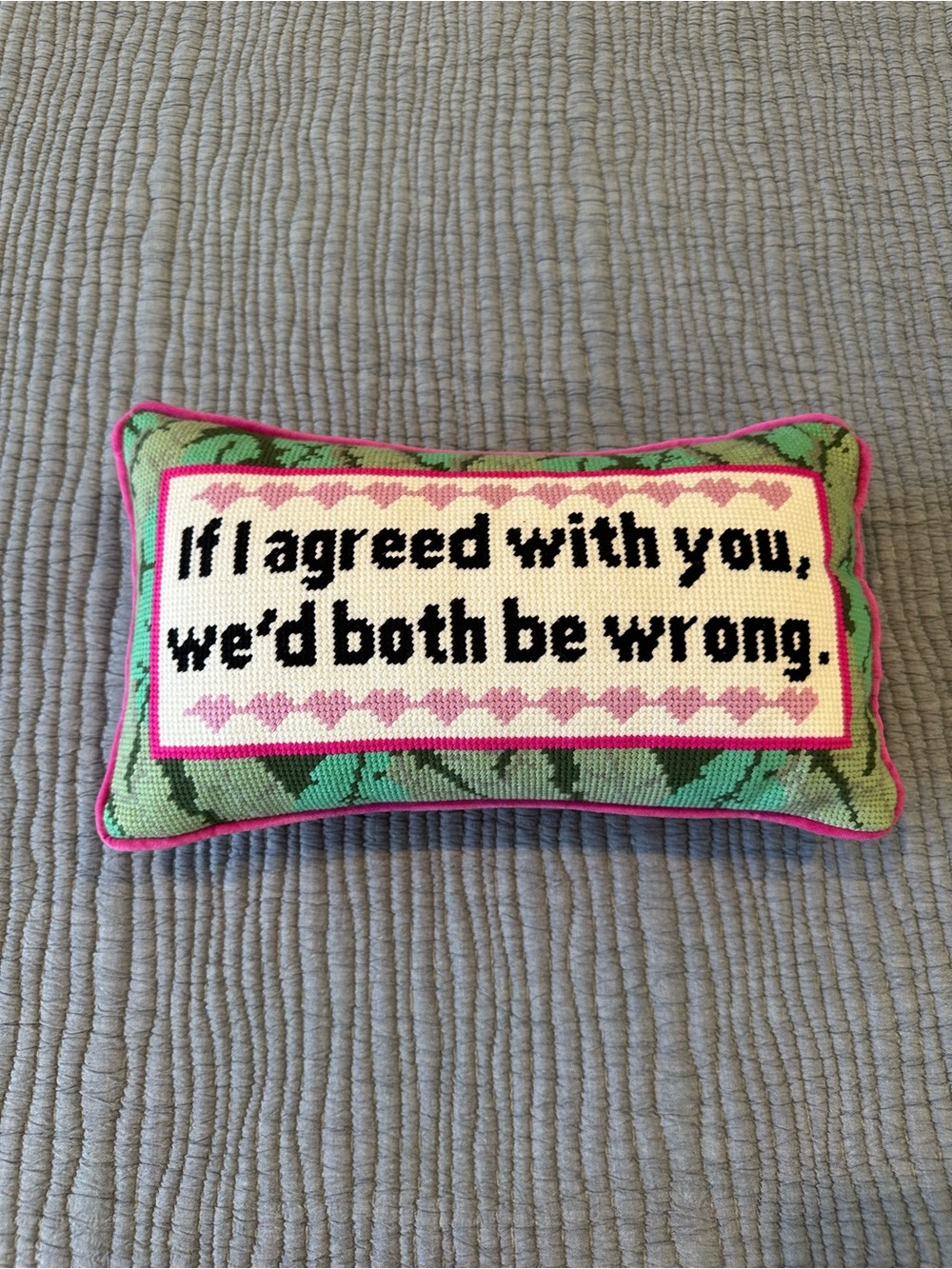 Playful Pink Trim Embroidered Accent Pillow - 'If I agreed with you'